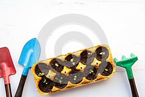 Small plats growing in yellow carton chicken egg box in black soil.