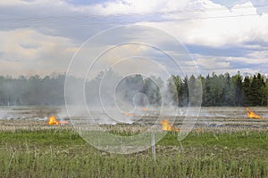 Small pockets of fire burning stubble in a farmers field