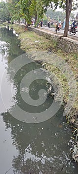 small polluted river beside the highway