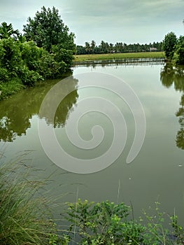 Small pond around rice field