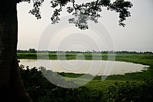 Small pond around an urban village in Kolkata India