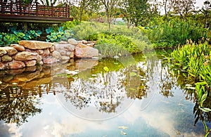 Small pond in backyard landscaping garden