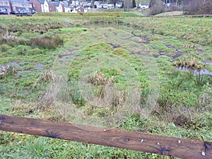 Small pond on the banks of the river cynon