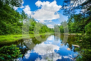 Small pond at Bear Brook State Park, New Hampshire.