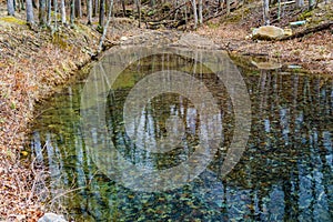 A Small Pond at Carvin Cove Reservoir