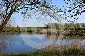 Small pond in countryside public park at Pilling, Lancashire photo