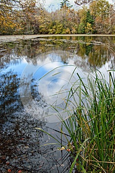 Pond at Bogue Chitto State Park, Louisiana