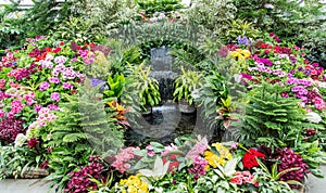 Small Pond in Floral Garden