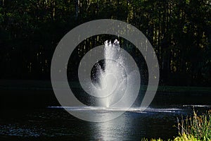 A small pond and geyser in a Florida community