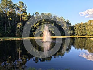 Small pond and geyser