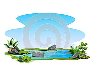 Small pond with green grass on white background illustration