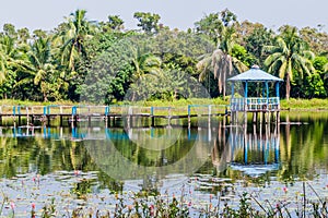 Small pond in Harbaria eco park in Sundarbans, Banglade