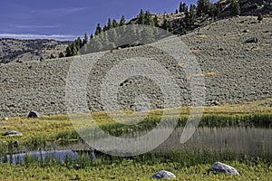 A small pond holds water in Yellowstone National Park.