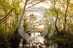 Small pond in Lagoas de Bertiandos photo