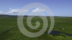 Small pond in the middle of dry green grass. Clip. Aerial of autumn countryside landscape.