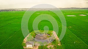 small pond in the middle ofrice fields photo