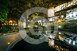 Small pond and modern buildings at night, from Hong Kong University, in Hong Kong, Hong Kong.