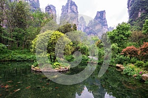 small pond with reflection in yangjiajie