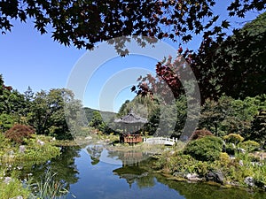 Small pond with relection of pavilion in Korean style garden photo
