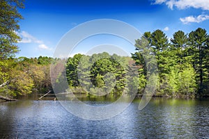 Pond in Yarmouth Maine nature preserve