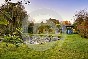 small pond on a summer day in the garden