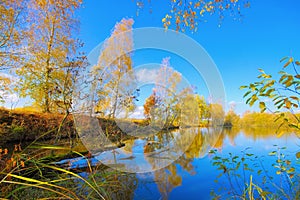 A small pond in Zittau Mountains