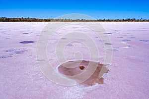 Small pool of water on the surface of pink salt lake.