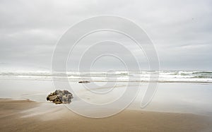 Small Pools Surround Low Laying Rocks On Cannon Beach At Low Tide