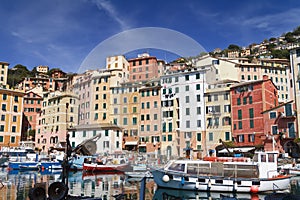 Small port in Camogli, Italy