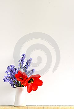 Small posie of spring flowers