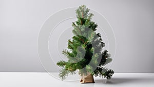 A small potted Christmas tree on a white table