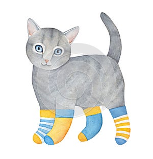 Small pretty gray kitten character wearing bright odd socks with various pattern.