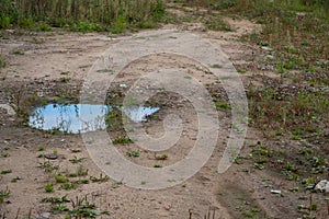 Small puddle on a rural dirt road after rain, reflection