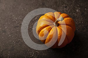 Small Pumpkin and copy space