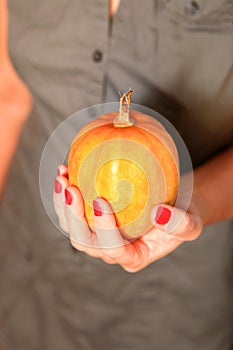 Small pumpkin in hands of woman