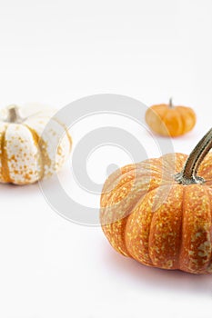 small pumpkins