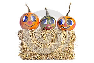 Small Pumpkins and a Bale of Hay