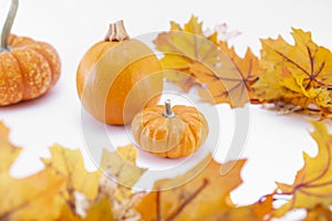 small pumpkins, fall leaves decor