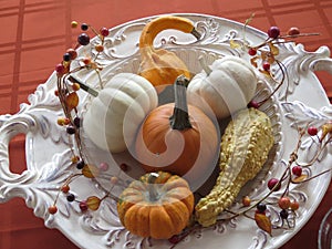 Small pumpkins and gourds of various colors, displayed on platters from various angles and depth