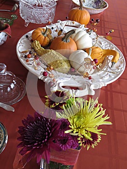 Small pumpkins and gourds of various colors, displayed on platters from various angles and depth