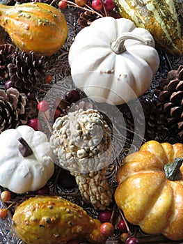 Small pumpkins and gourds of various colors, displayed on platters from various angles and depth