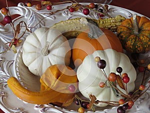 Small pumpkins and gourds of various colors, displayed on platters from various angles and depth