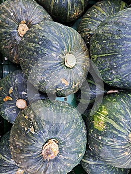 Small pumpkins are sold in supermarkets.