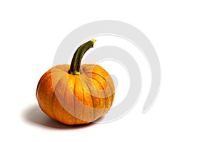 Small pumpkins on white background isolated