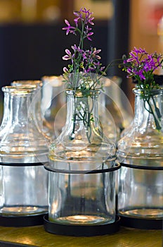 Flowers in a glass vase photo