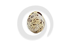 Small quail egg isolated on white background
