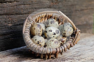 Small quail eggs in the basket