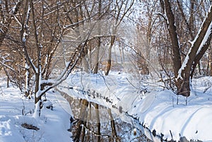 Small quiet river in winter  forest