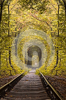 Small railway through autumn forest