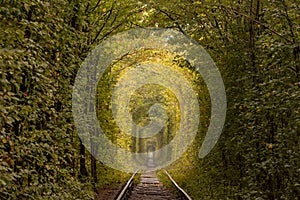 Small railway through autumn forest